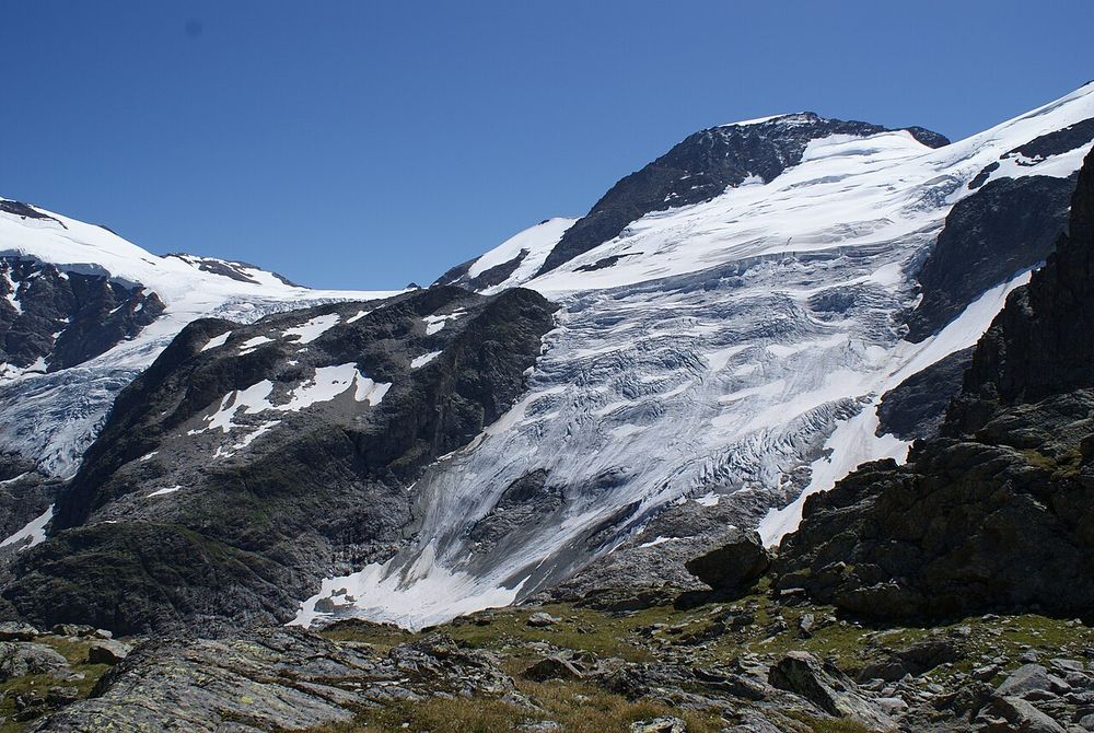 Steigletscher in 2009.